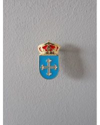 PIN ESCUDO AJOFRÍN