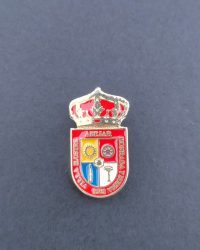 PIN ESCUDO ABEJAR