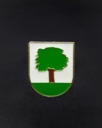 PIN ESCUDO ABALCISQUETA
