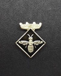 pin escut Abella de la Conca