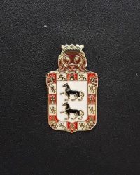 pin escudo ayala
