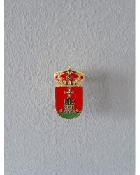 PIN ESCUDO MOCEJÓN