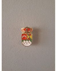 PIN ESCUDO MONTESCLAROS