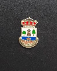 PIN ESCUDO JERTE