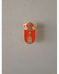 PIN ESCUDO NAVALCÁN