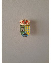 PIN ESCUDO ALMENDRAL DE LA CAÑADA