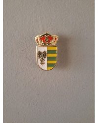 PIN ESCUDO NAVALMORALES
