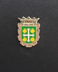 PIN ESCUDO MADROÑERA