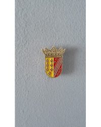 PIN ESCUDO NOEZ