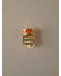 PIN ESCUDO NOVÉS