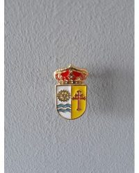 PIN ESCUDO NUMANCIA DE LA SAGRA