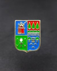 PIN ESCUDO ANZUOLA