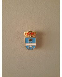 PIN ESCUDO OLIAS DEL REY