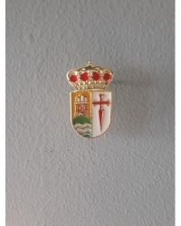 PIN ESCUDO ONTIGOLA
