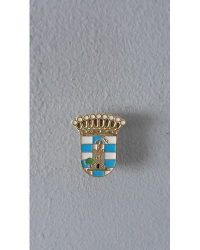 PIN ESCUDO OROPESA