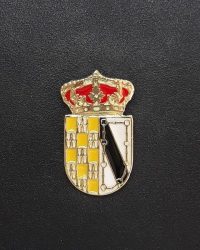 PIN ESCUDO SAN ASENSIO