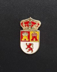 PIN ESCUDO MORALEJA