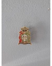 PIN ESCUDO ALMOROX