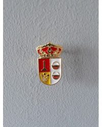 PIN ESCUDO PELAHUSTAN