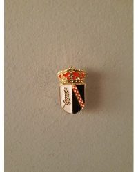 PIN ESCUDO PORTILLO DE TOLEDO