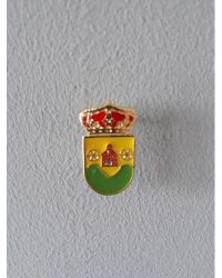 PIN ESCUDO PUERTO DE SAN VICENTE