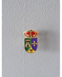 PIN ESCUDO RECAS