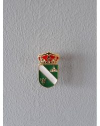 PIN ESCUDO RIELVES