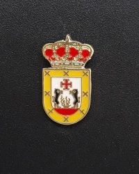 PIN ESCUDO PIORNAL