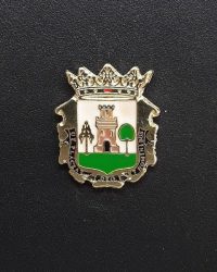 PIN ESCUDO PLASENCIA