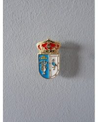 PIN ESCUDO ARCICOLLAR