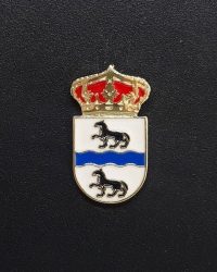 PIN ESCUDO RIOLOBOS