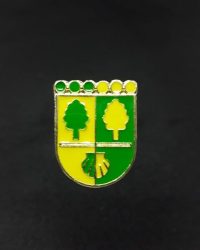 PIN ESCUDO ASTIGARRAGA
