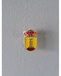 PIN ESCUDO SEGURILLA