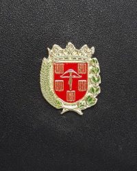 .sariñena
