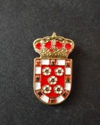PIN ESCUDO ANCHURAS