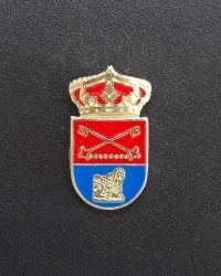 pin escudo borraga