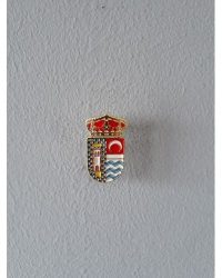 PIN ESCUDO LA TORRE DE ESTEBAN HAMBRAN