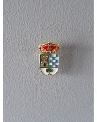 PIN ESCUDO TORRICO