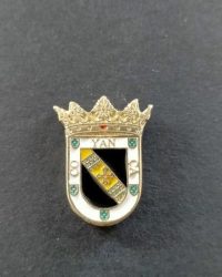 valencia de don juan escudo
