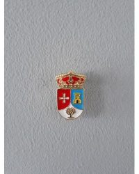 PIN ESCUDO UGENA