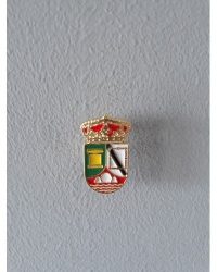 PIN ESCUDO VALDEVERDEJA