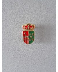 PIN ESCUDO VALMOJADO