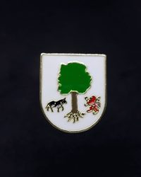 PIN ESCUDO AYA