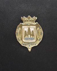 PIN ESCUDO ARNEDO