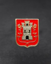 PIN ESCUDO AZCOITIA