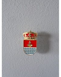 PIN ESCUDO BARGAS