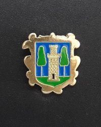 pin escudo el bonillo