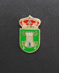PIN ESCUDO TORREORGAZ