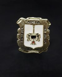 PIN ESCUDO AZPEITIA