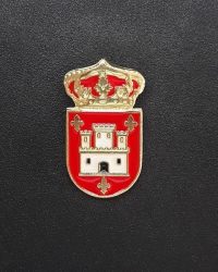 PIN ESCUDO AUSEJO